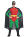 Buy Robin Costume for Adults - Warner Bros DC Comics from Costume Super Centre AU