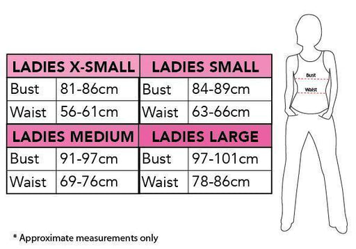 Robin Secret Wishes Sexy Adult Costume | Costume Super Centre AU