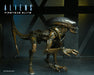 Buy Alien - 7" Scale Action Figure - Runner - Aliens Fireteam Elite - NECA Collectibles from Costume Super Centre AU