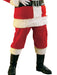 Buy Santa Flannel Suit for Adults from Costume Super Centre AU