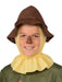 Buy Scarecrow Deluxe Costume for Kids - Warner Bros The Wizard of Oz from Costume Super Centre AU