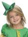 Buy Scarecrow Tutu Costume for Kids - Warner Bros The Wizard of Oz from Costume Super Centre AU