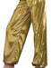 Buy Solid Gold Disco Diva Costume for Adults from Costume Super Centre AU