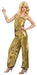 Solid Gold Diva Adult Costume | Costume Super Centre AU