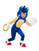 Buy Sonic the Hedgehog Premium Costume for Kids - Sonic the Hedgehog from Costume Super Centre AU