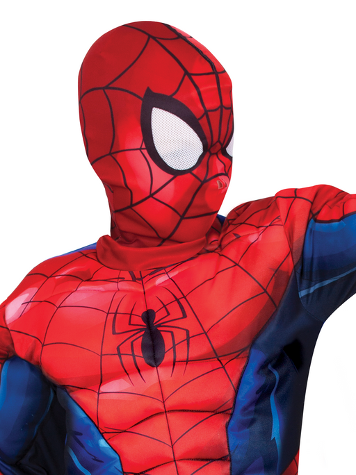 Buy Spider-Man Fusion Deluxe Costume for Kids - Marvel Spider-Man from Costume Super Centre AU