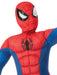 Buy Spider-Man Premium Costume for Kids - Marvel Spider-Man from Costume Super Centre AU