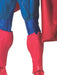 Buy Superman Collector's Edition Costume for Adults - Warner Bros DC Comics from Costume Super Centre AU