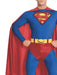 Buy Superman Costume for Adults - Warner Bros DC Comics from Costume Super Centre AU