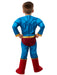 Buy Superman Costume for Toddlers & Kids - DC League of Super-Pets from Costume Super Centre AU