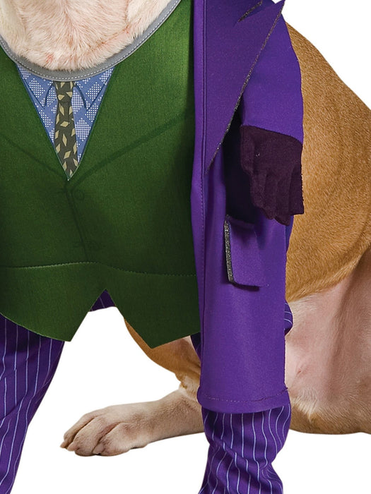 Buy The Joker Pet Costume - Warner Bros DC Comics from Costume Super Centre AU