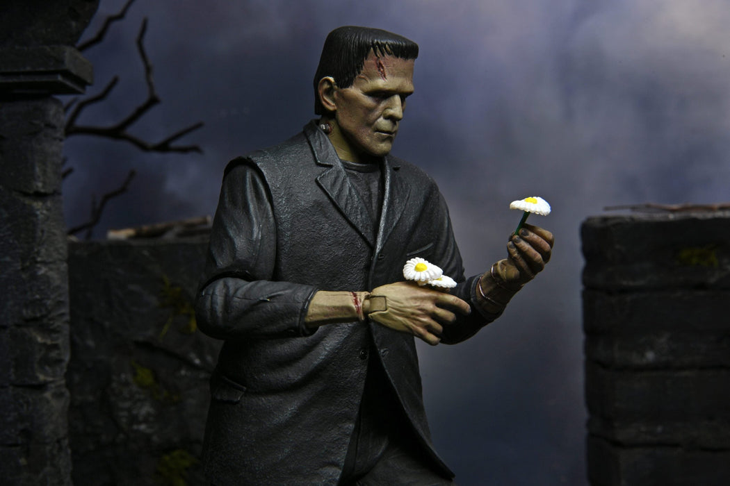 Buy Universal Monsters - 7" Scale Action Figure – Ultimate Frankenstein’s Monster (Colour) - NECA Collectibles from Costume Super Centre AU