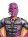 Buy Vision Deluxe Costume for Kids - Marvel Avengers: Infinity War from Costume Super Centre AU