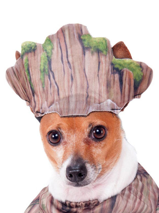 Buy Walking Groot Deluxe Pet Costume - Marvel Guardians Of The Galaxy from Costume Super Centre AU