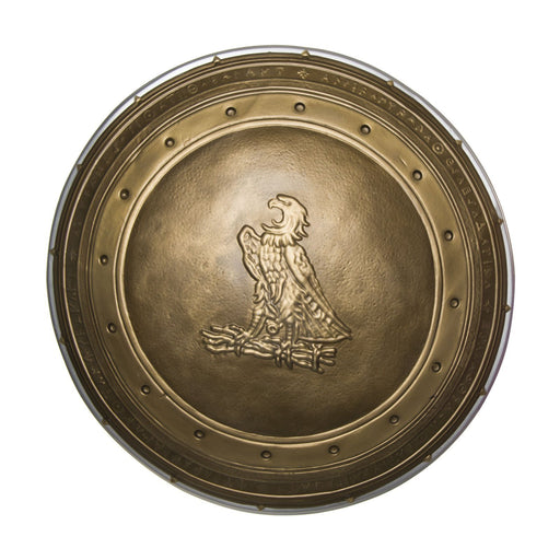Buy Wonder Woman 24" Shield for Adults - Warner Bros Justice League from Costume Super Centre AU