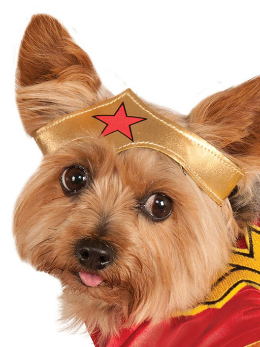 Buy Wonder Woman Pet Costume - Warner Bros DC Comics from Costume Super Centre AU
