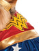 Buy Wonder Woman Pet Costume - Warner Bros DC Comics from Costume Super Centre AU