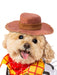 Buy Woody Costume for Pets - Disney Pixar Toy Story from Costume Super Centre AU