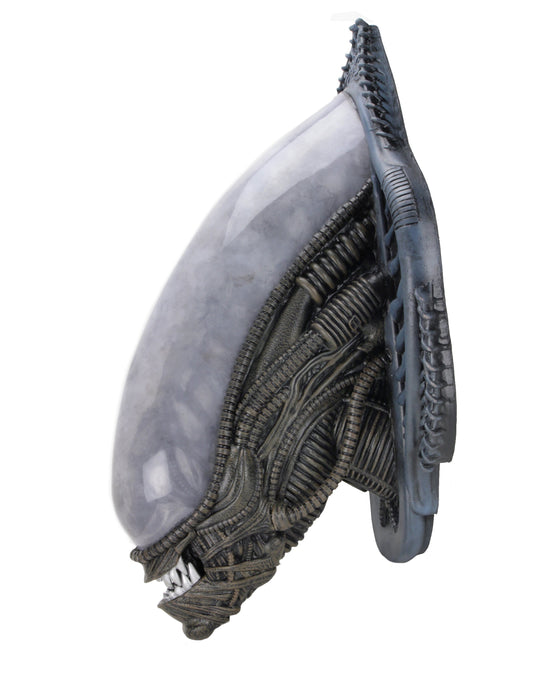 Buy Xenomorph Alien Bust Wall-Mounted Foam Replica - Alien - NECA Collectibles from Costume Super Centre AU
