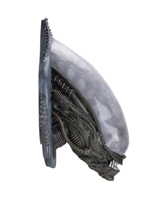 Buy Xenomorph Alien Bust Wall-Mounted Foam Replica - Alien - NECA Collectibles from Costume Super Centre AU