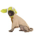 Buy Yoda Pet Costume - Disney Star Wars from Costume Super Centre AU