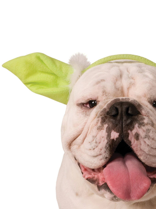Buy Yoda Pet Headband - Disney Star Wars from Costume Super Centre AU