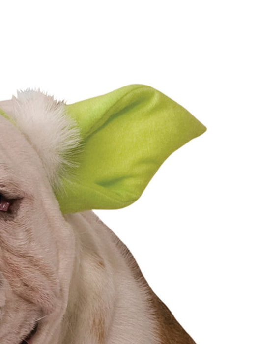 Buy Yoda Pet Headband - Disney Star Wars from Costume Super Centre AU