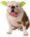 Star Wars - Yoda Pet Headband | Costume Super Centre AU